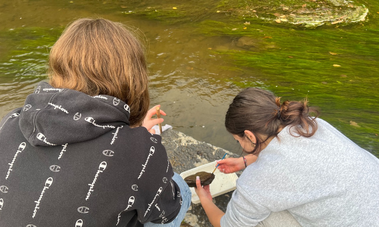 Activité biodiversité