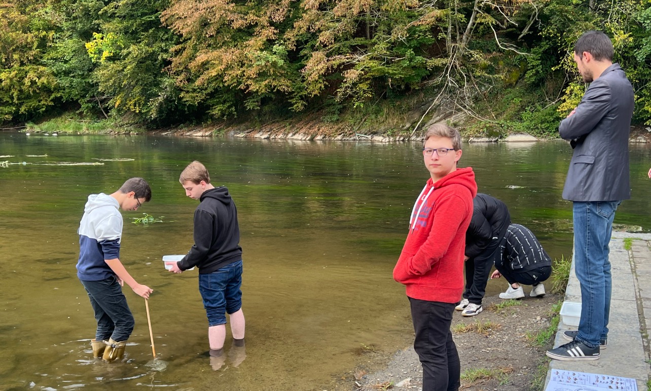 Activité biodiversité