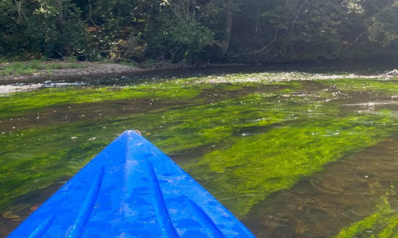 Après-midi kayak !