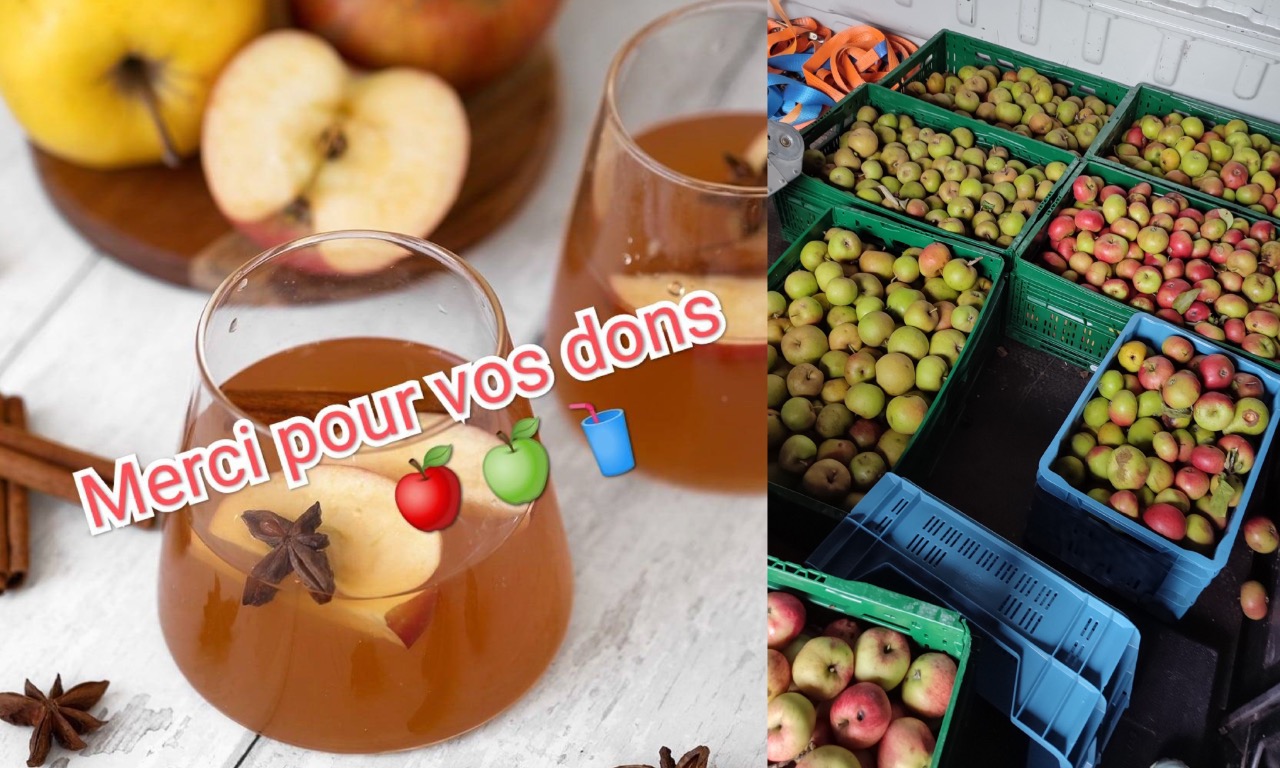 Collecte en vue de vente de jus de pomme