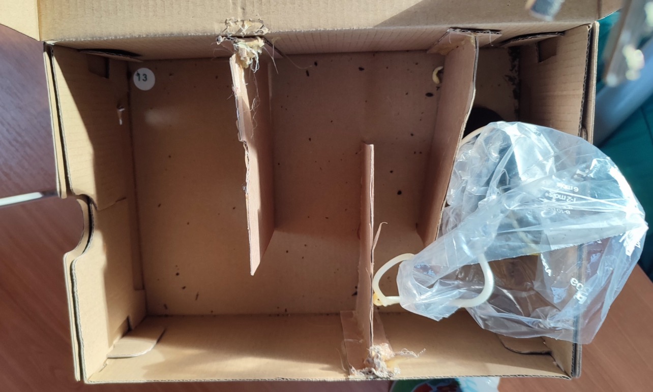 Croissance des plantes Croissance des plantes