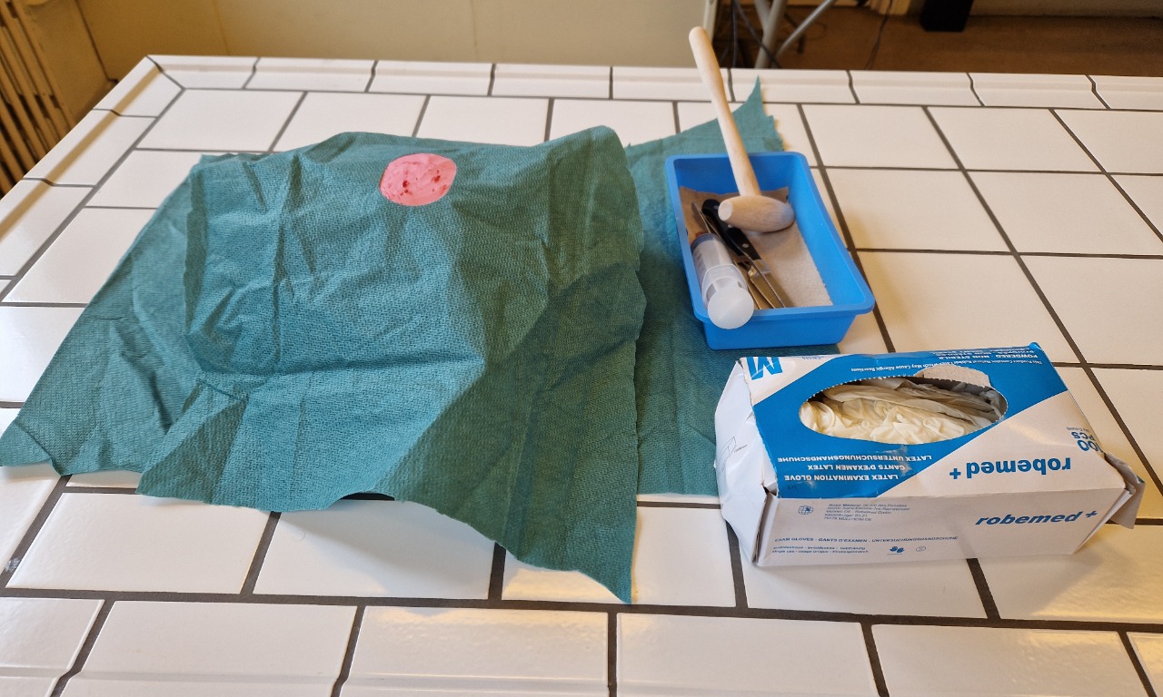 Dissection 