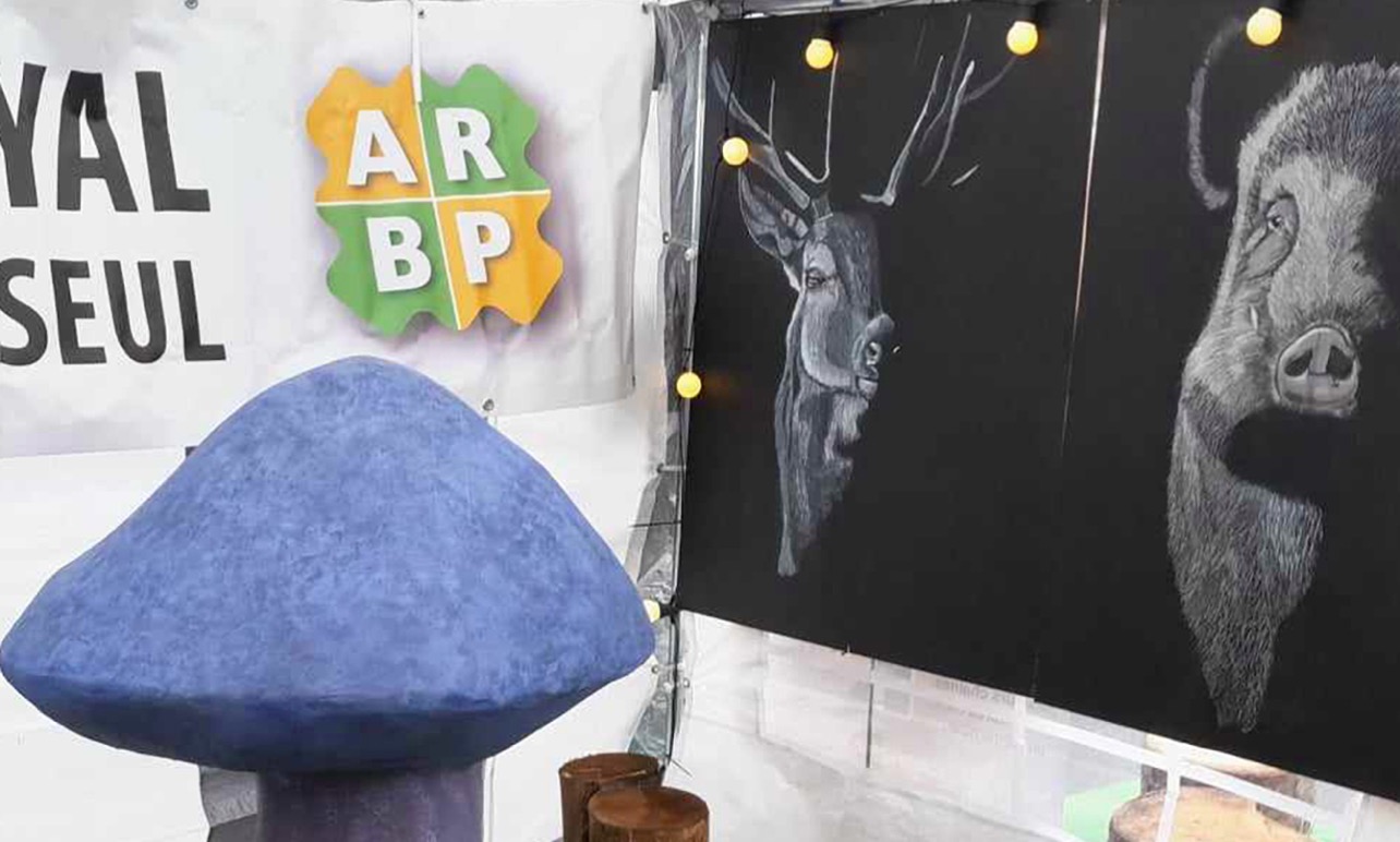 Les décors de nos élèves à la fête de la Chasse ! Les décors de nos élèves à la fête de la Chasse !